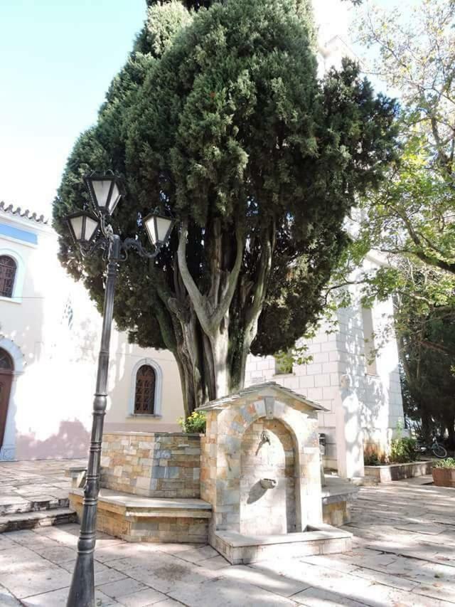 Atrium - Lafkos Villa Exterior photo